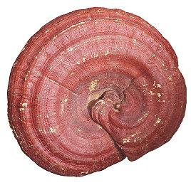 官方确定《钢铁侠》游戏采用虚幻引擎5 目前处于预制作阶段